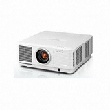 ��ǰ ������