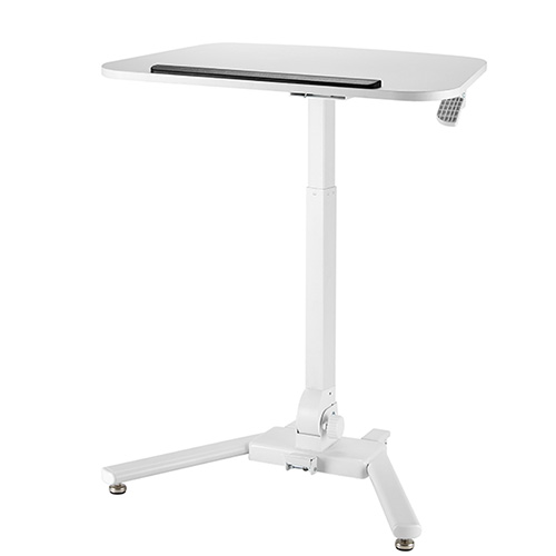 ��ǰ ������