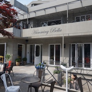 ��ǰ ������